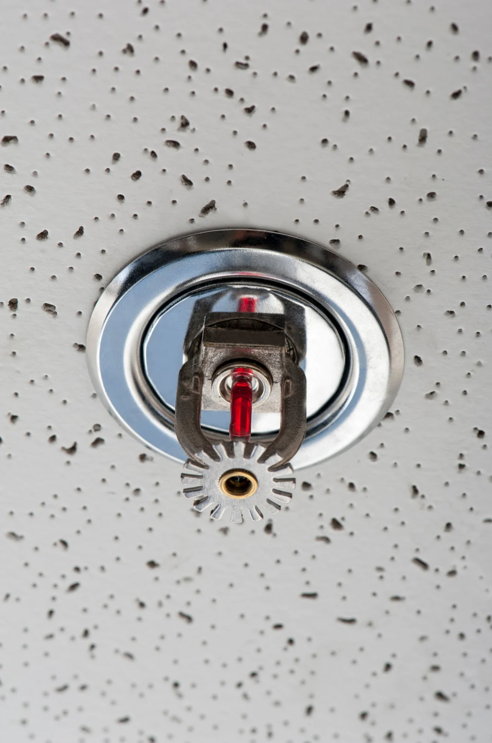 Fire sprinkler head